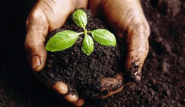Soluciones para enfrentar el Calentamiento Global