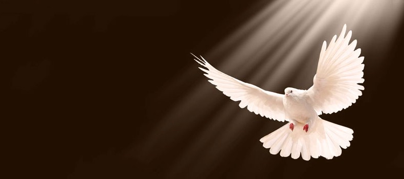 obra y gracia del credo