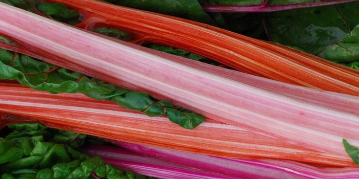 Conoce las propiedades del ruibarbo