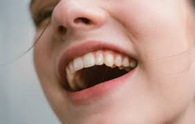 Partes y función de la boca